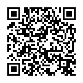 QR 2e41029