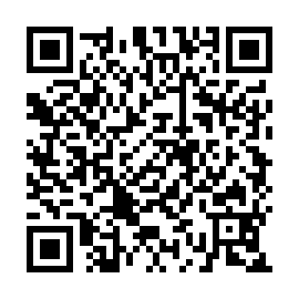 QR 2e53060