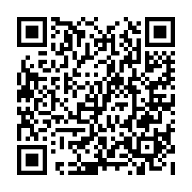 QR 2e5d256