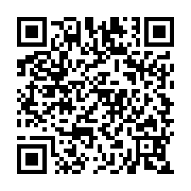 QR 2e63335