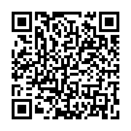 QR 2e6991f