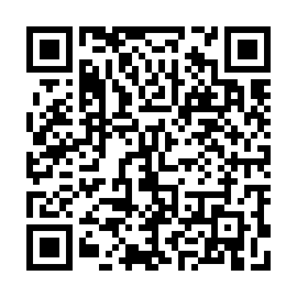 QR 2e81366