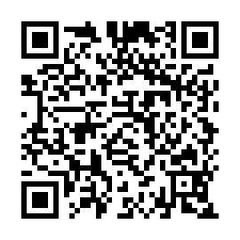 QR 2e81621