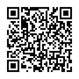 QR 2eea506
