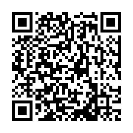 QR 2eefc29