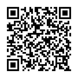 QR 2eff04b