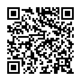 QR 300f531