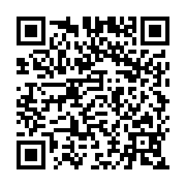 QR 305b29a