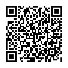 QR 305d533