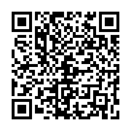 QR 3079ae5