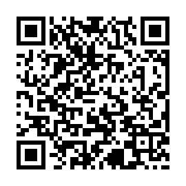QR 307b527