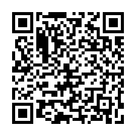 QR 3091e61