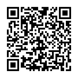 QR 30ba741