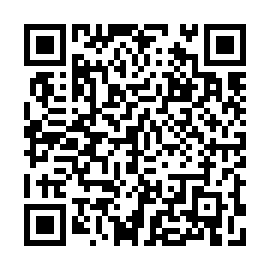 QR 30d33b9