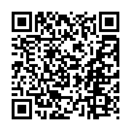 QR 3100384