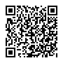 QR 311a99e