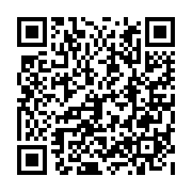 QR 3131234