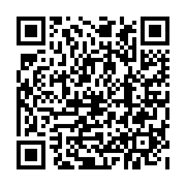 QR 3133e94