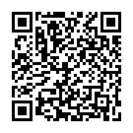 QR 313a761