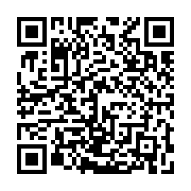 QR 313b3f8