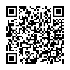 QR 313bb40