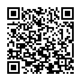 QR 313bfe2