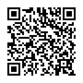 QR 313ce41