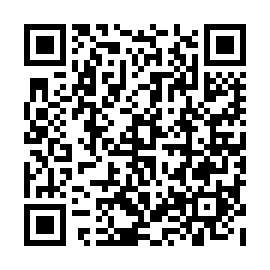 QR 313dcfe