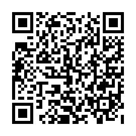 QR 313e0ec