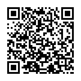 QR 313ea7e