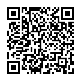 QR 313f419