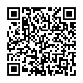 QR 313f55f