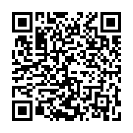 QR 313f848