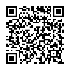 QR 313fbed