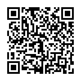 QR 31a4380