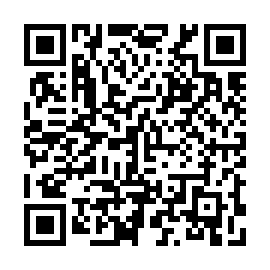 QR 31ea029
