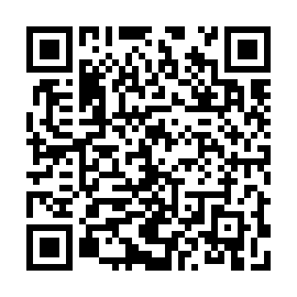 QR 3205868