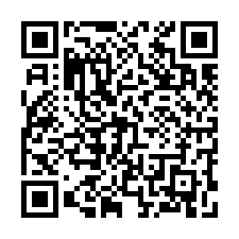 QR 3233504
