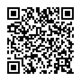 QR 3233985