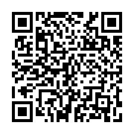 QR 325ce29
