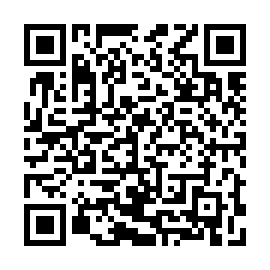 QR 329e738
