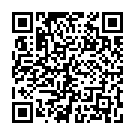QR 32c3519