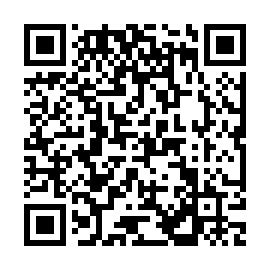 QR 331ee83