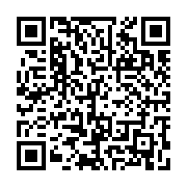 QR 3331336