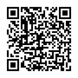 QR 3335717