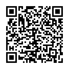 QR 333631c