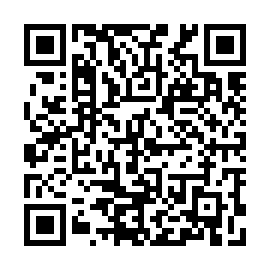 QR 335ceff