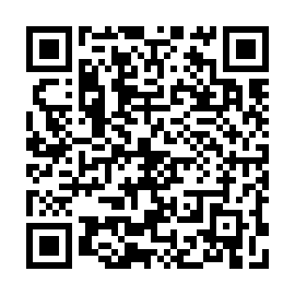 QR 33638e1