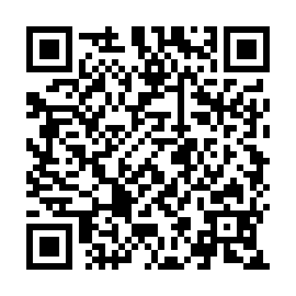 QR 336c610