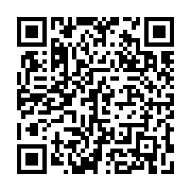 QR 3385cc9